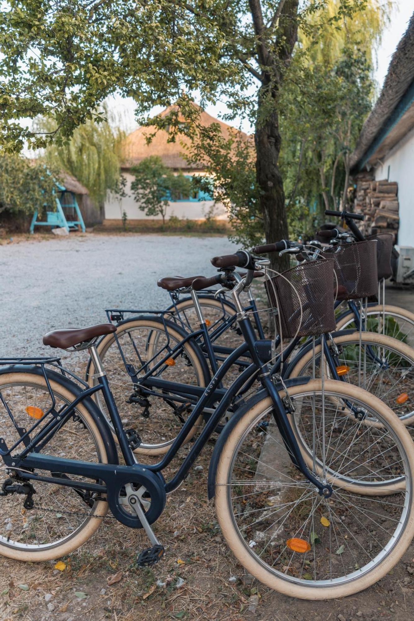 5 Chirpici - Small Traditional Resort Murighiol Eksteriør bilde